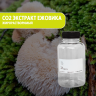 CO2 экстракт Ежовика жирорастворимый